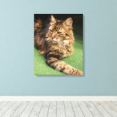 Katze Leinwanddruck (Insitu (Holzboden))