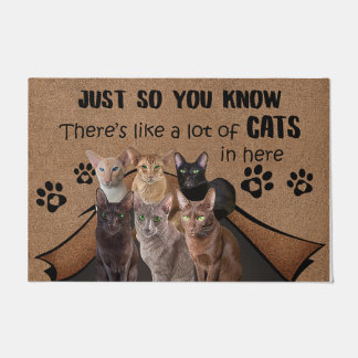 Katze Lover Doormat, Katze Willkommenmatte, lustig Fußmatte