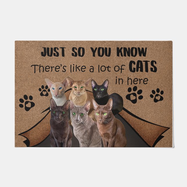 Katze Lover Doormat, Katze Willkommenmatte, lustig Fußmatte (Vorderseite)
