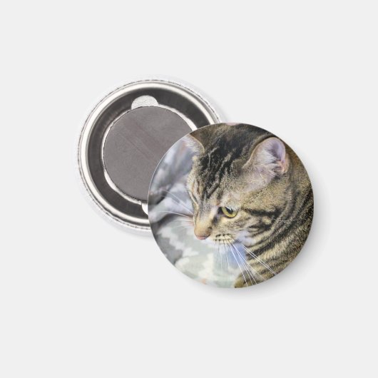 Katze Magnet (Vorderseite/Rückseite)