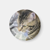 Katze Magnet (Vorne)