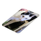 Katze Magnet (Linke Seite)
