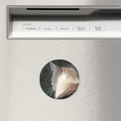 Katze Magnet (In Situ (Geschirrspüler))