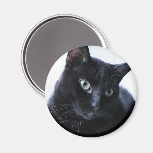 Katze Magnet (Vorderseite/Rückseite)