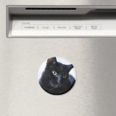 Katze Magnet (In Situ (Geschirrspüler))
