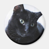 Katze Magnet (Vorne)