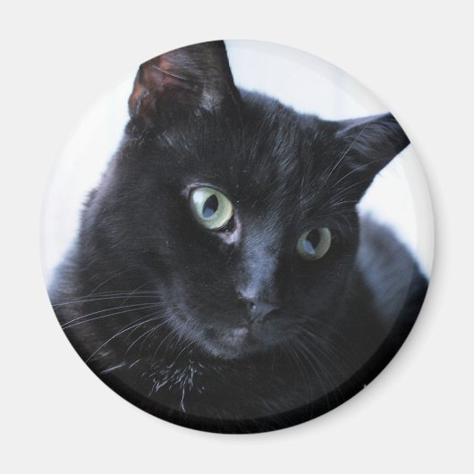 Katze Magnet (Vorne)