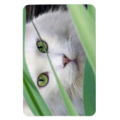 Katze Magnet (Vertikal)