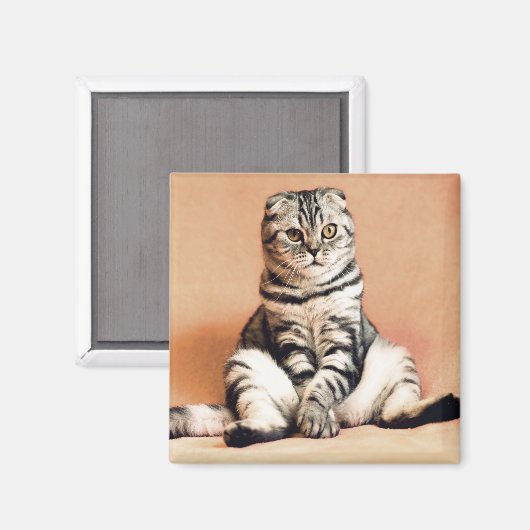 Katze Magnet (Vorderseite/Rückseite)