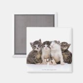 Katze Magnet (Vorderseite/Rückseite)