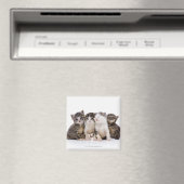 Katze Magnet (In Situ (Geschirrspüler))