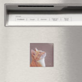 Katze Magnet (In Situ (Geschirrspüler))
