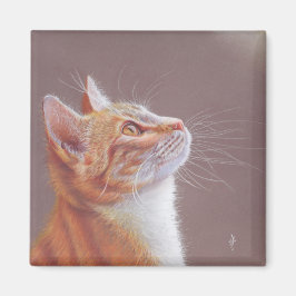 Katze Magnet