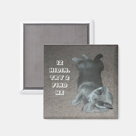 Katze Magnet (Vorderseite/Rückseite)