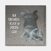 Katze Magnet (Vorne)