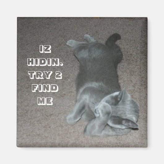 Katze Magnet (Vorne)