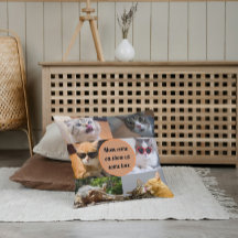 Katze Mama Niedlich Moderne Personalisierte Heimfo