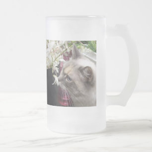 Katze Mattglas Bierglas