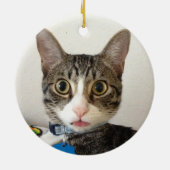 Katze "Meowy Christmas" 2-seitige, 2-Foto-Rot Keramikornament (Hinten)