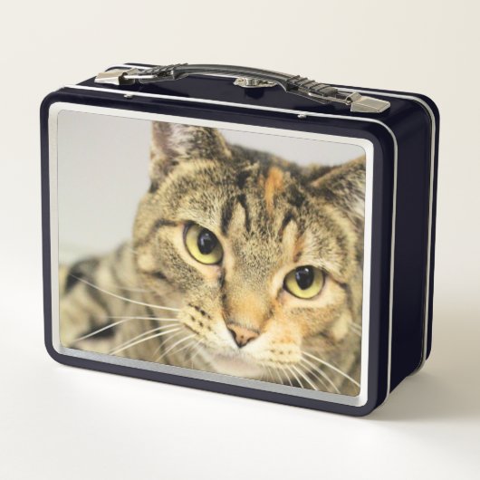 Katze Metall Brotdose (Rückseite)