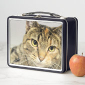 Katze Metall Brotdose (Beispiel)