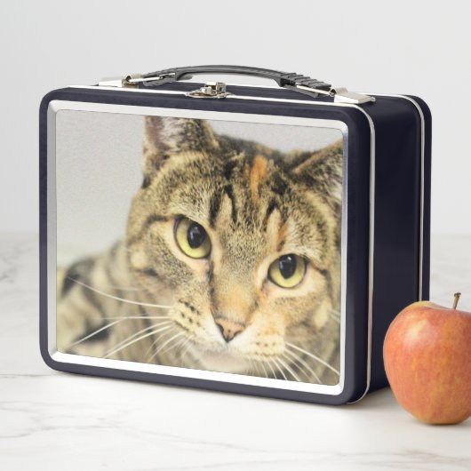 Katze Metall Brotdose (Beispiel)