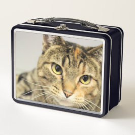 Katze Metall Brotdose