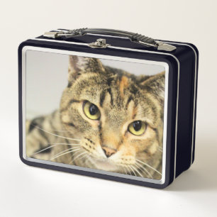 Katze Metall Brotdose