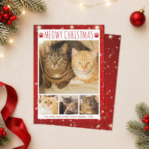 Katze MIAU WEIHNACHTEN 4 Fotos Rote Pfotenabdrücke