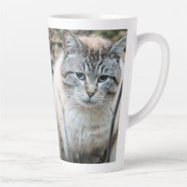 Katze Milchtasse