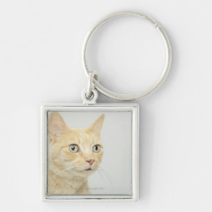 Katze mit Augen öffnen sich weit Schlüsselanhänger