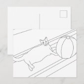 Katze mit Bachball, farbige Postkarten (Vorne/Hinten)