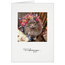 Katze mit Band auf Kopfende Geburtstagskarte