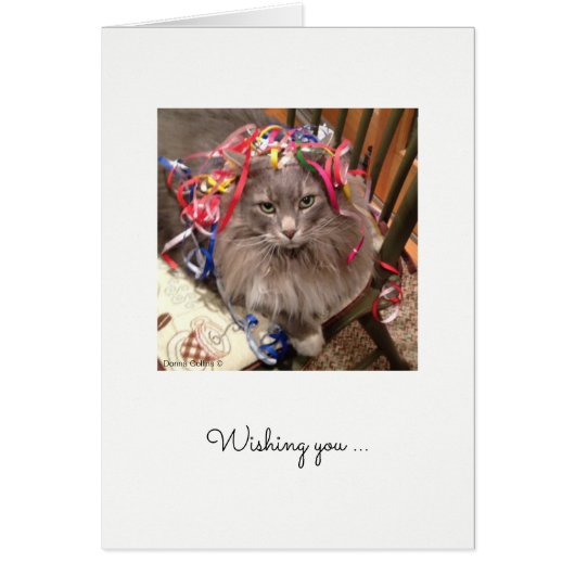 Katze mit Band auf Kopfende Geburtstagskarte (Vorne)