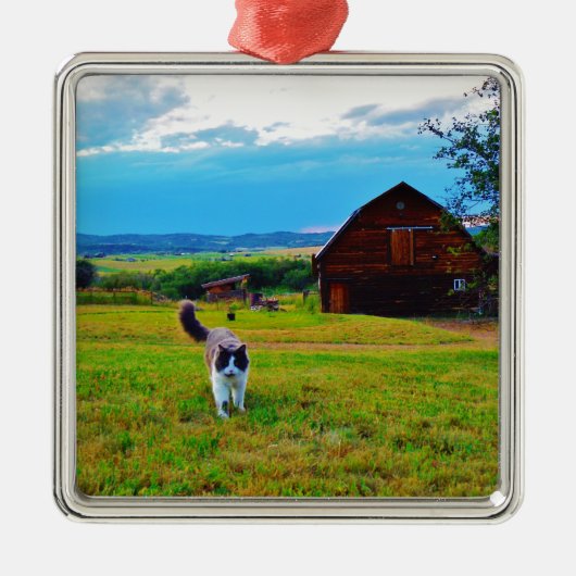 Katze mit Barns Ornament Aus Metall (Vorne)