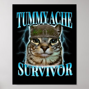 Katze mit Bauchschmerzen überlebende Meme Lustige  Poster