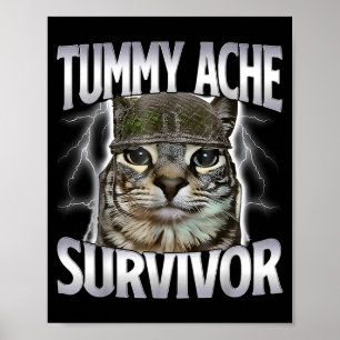 Katze mit Bauchschmerzen Überlebender Meme Lustige Poster
