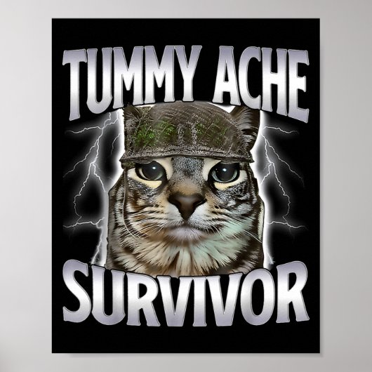 Katze mit Bauchschmerzen Überlebender Meme Lustige Poster (Vorne)