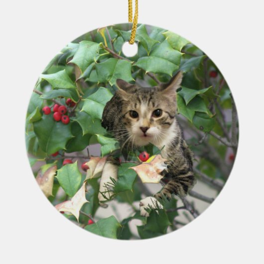 Katze mit Berries Holly Ornament (Vorne)