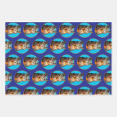 Katze mit Birthday-Schuhglas Geschenkpapier Set (Vorderseite 3)