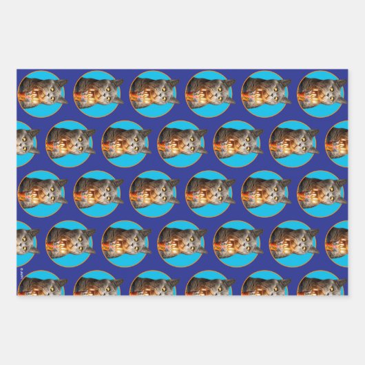 Katze mit Birthday-Schuhglas Geschenkpapier Set (Vorderseite 3)