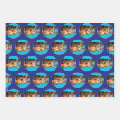 Katze mit Birthday-Schuhglas Geschenkpapier Set (Vorderseite)