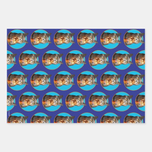 Katze mit Birthday-Schuhglas Geschenkpapier Set (Vorderseite)