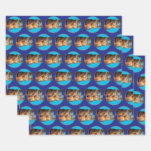 Katze mit Birthday-Schuhglas Geschenkpapier Set