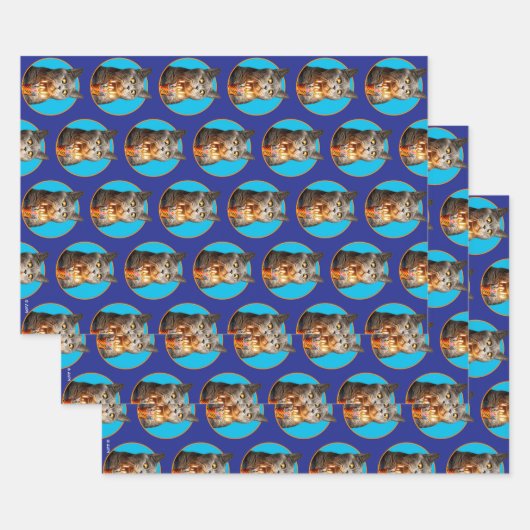 Katze mit Birthday-Schuhglas Geschenkpapier Set (Set)