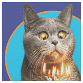 Katze mit Birthday-Schuhglas Stoff (Nahaufnahme)