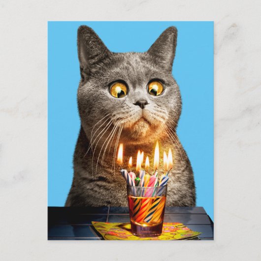 Katze mit Birthday-Shotglas Einladungspostkarte (Vorderseite)