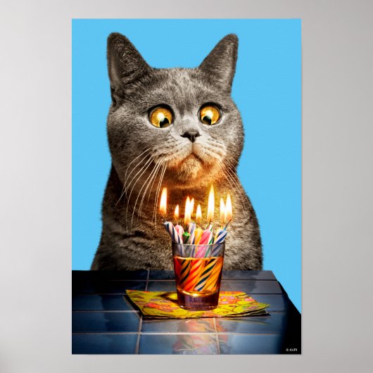 Katze mit Birthday-Shotglas Poster (Vorne)