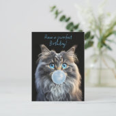 Katze mit blauen Augen, die einen blauen Kaugummi Postkarte (Stehend Vorderseite)