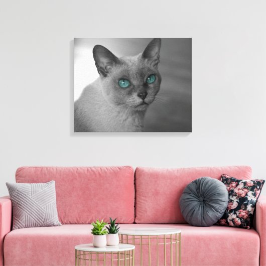 Katze mit blauen Augen Leinwanddruck (Insitu (Wohnzimmer))